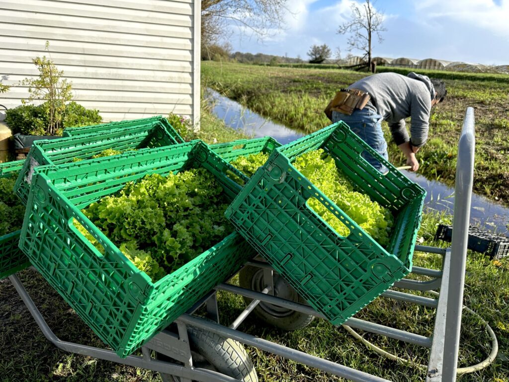 Les Jardins du Cœur&nbsp;: un coin de nature où se reconstruire