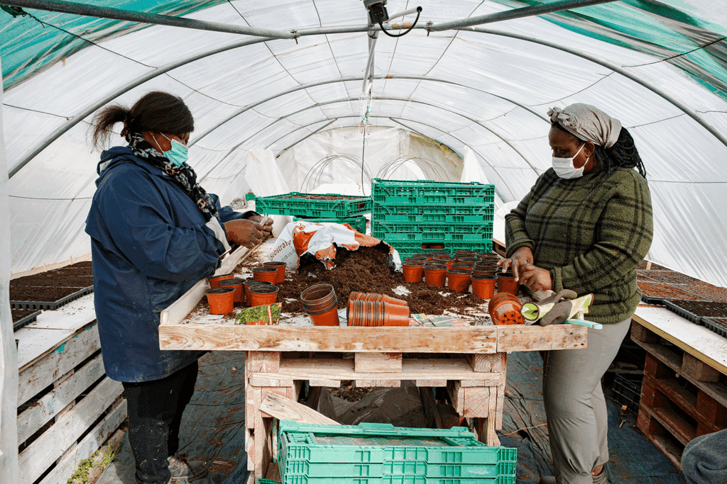 L’insertion par l’emploi : présentation des jardins d’insertion